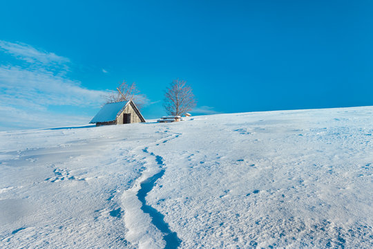 Beskidy Brenna Hala Jaworowa