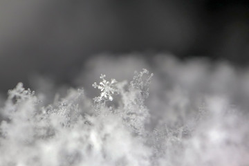snowflake on snow macro as background