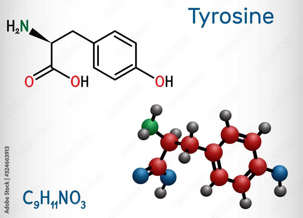 Sticker Tyrosine, L-tyrosine, Tyr,  C9H11NO3  amino acid molecule. It plays role in protein synthesis, it is precursor for synthesis of catecholamines, thyroxine, melanin.