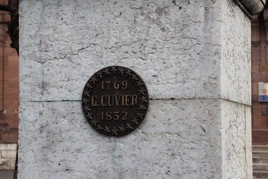 Statue De Georges CUVIER, Anatomiste,  à Montbéliard Créée Par Le Scuplteur Pierre Jean DAVID - Ville De Montbéliard - Département Du Doubs - Région Franche Comté - France