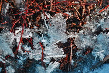 Ice with beautiful texture on dry grass, natural organic background, top view