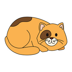 cute little cat animal icon vector illustration design