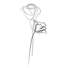 Beautiful flower line vector illustration	