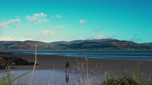 Time lapse of cold winter, early spring day on the East coast of Ireland. Features bright blue sky, passing clouds and distant  hills, with moving grass in the foreground.