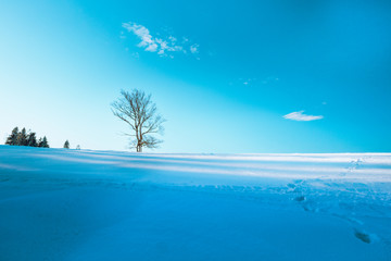 Beskidy Zimą © slawek