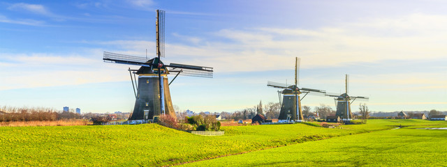 Rural landscape - view of green meadow on background of the mills on a sunny day, the Netherlands