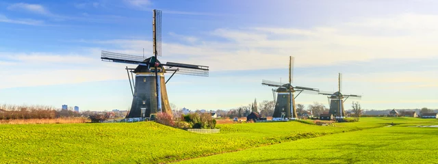 Fotobehang Landelijk landschap - uitzicht op groene weide op de achtergrond van de molens op een zonnige dag, Nederland © rustamank