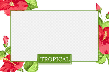 Hibiscus flowers at organic cosmetic and skin care label. Aromatic oil and cream sticker with transparent window. Beauty skin care border over biege. Vector illustration.