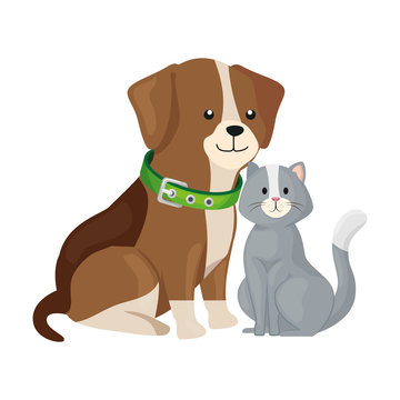 cute cat and dog animals isolated icon vector illustration design