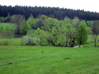 Spring. River valley