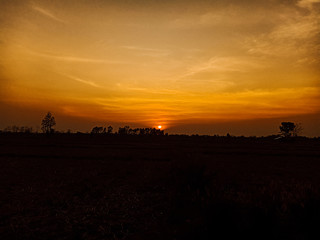 Obraz premium sunset in the city