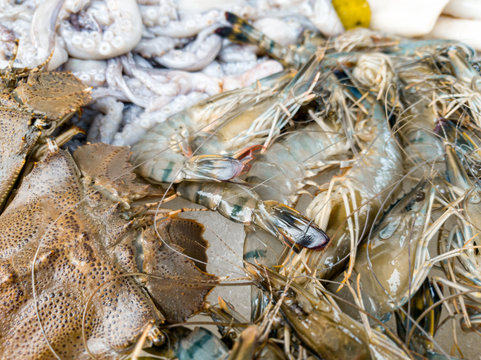 Closeup abstract image of raw fresh shrimps and fishes at market