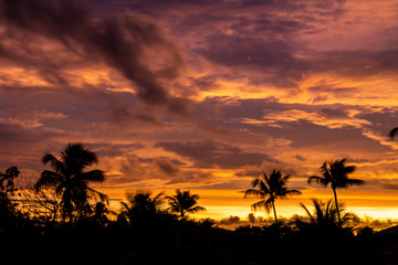 Sunset between palm trees. Golden Hour Fall of the sun with clouds painted warm colors.