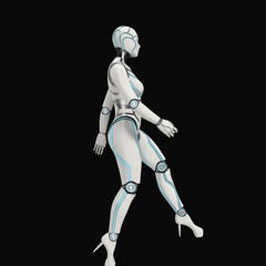Cyborg female