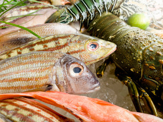 Closeup image of fresh raw fish and lobster on the counter at seafood restaurant or market