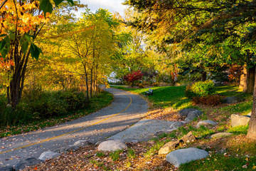 A fragment of a corner in the park near the road leading to the lake