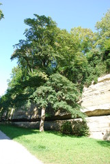 Überlingen am Bodensee – Stadtgraben - Stadtgarten