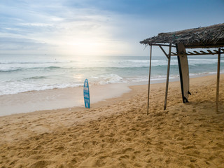 Beautiful image of surboard rental on the ocean beach