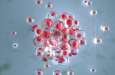 Ovum with outer structure called corona radiata - 3D Rendering
