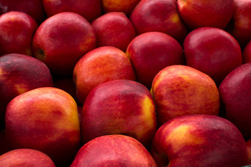 Red yellow fresh juicy apples background. Agricultural fruits grown in the garden. Delicious healthy vegetarian organic food, diet. Natural vitamins. Autumn harvest. Apples ingredient for cooking.