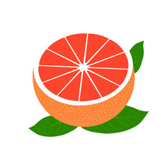 Vector realistic half grapefruit with  leaves. Fresh and juicy grapefruit. Fruit illustration with flat design.
