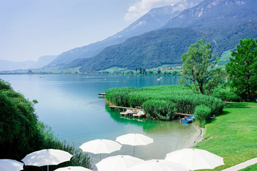 View of Green scenery near Caldaro lake