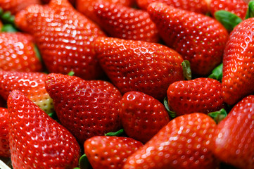 Ripe large red strawberries stacked side by side.