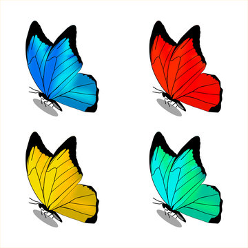 Red, blue, green and yellow butterflies on a white background. Stock vector illustration. There is a place for text. Copy space.