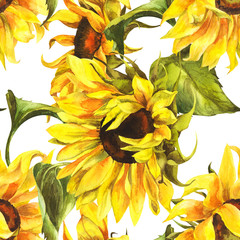 Watercolor seamless pattern with sunflowers on an isolated white background, botanical painting.