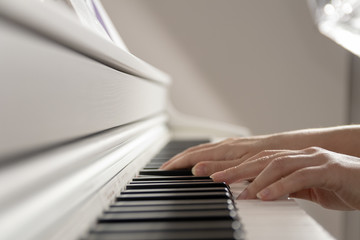 Stylish photo, female hands play the piano