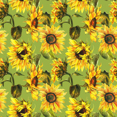 Watercolor seamless pattern with sunflowers, botanical painting isolated on a green background, floral painting, stock illustration.