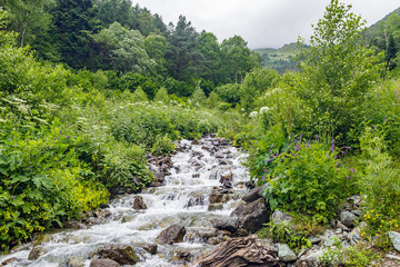 Fototapeta na wymiar stream flows over stones among the dense grass