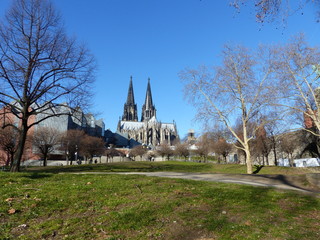 Dom von hinten mit Wiese in Köln am Rhein