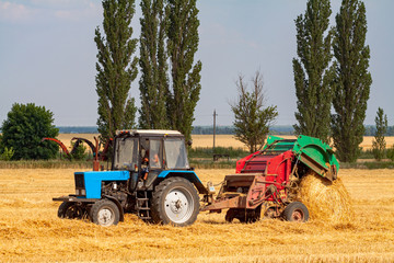 Obraz premium tractor makes big straw roll on yellow field at summer day