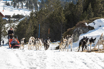 Grau Roig Andorra :  FEB 18 2020 : .Sledges pulled by dogs in Grau Roig. Grandvalira Station, Grau Roig Andorra.