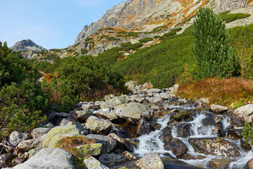 Mountain stream on stones with pine forest among peaks. Photo was taken in High Tatras mountains, near to Strbske lake and Skok waterfall in Slovakia © andras_csontos