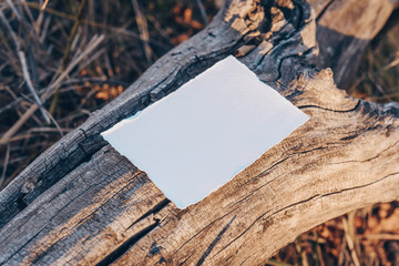 Blank greeting card. Vintage old rustic background. Wedding invitation card paper on sunshine background. Hand holding empty card in a park in sunny rays. Copy space.Mockup.