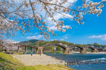 Photo sur Plexiglas Le pont Kintai Pont Sakura et Kintaikyo