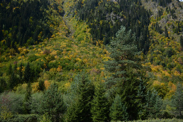 Beatiful nature landscape on the hiking route to Mazeri waterfall, Svaneti, Georgia