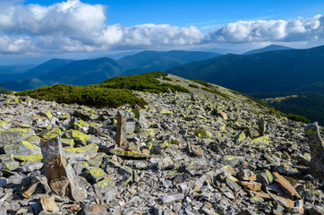 Wide panorama of green mountain hills covered with green pine trees in sunny clear weather. Carpathian mountains landscape in summer. view from stony summit of Grofa Mount Gorgany, Ukraine