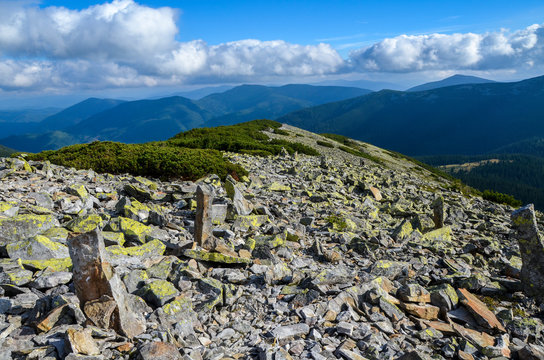Wide panorama of green mountain hills covered with green pine trees in sunny clear weather. Carpathian mountains landscape in summer. view from stony summit of Grofa Mount Gorgany, Ukraine