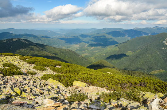 Wide panorama of green mountain hills covered with green pine trees in sunny clear weather. Carpathian mountains landscape in summer. view from stony summit of Grofa Mount Gorgany, Ukraine