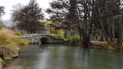 Naklejka premium Forest in New Zealand with old bridge and river