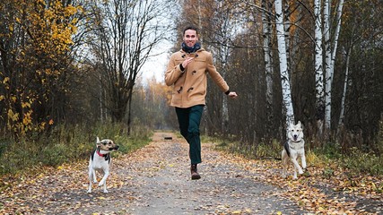 Naklejka na ściany i meble Cheerful guy running with dogs in nature