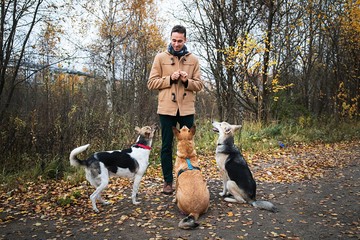 Man training dogs in autumn countryside. Cloudy day