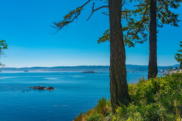 Looking Out Onto the Salish Sea