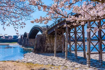 Cercles muraux Le pont Kintai Pont Sakura et Kintaikyo