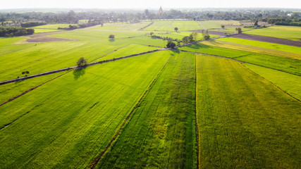 Aerial view of beautiful countryside with rice green fields.
