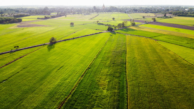 Aerial view of beautiful countryside with rice green fields. © black_J