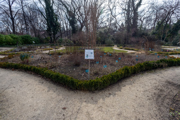 Fototapeta na wymiar Botanical Garden (Fuveszkert) in Budapest